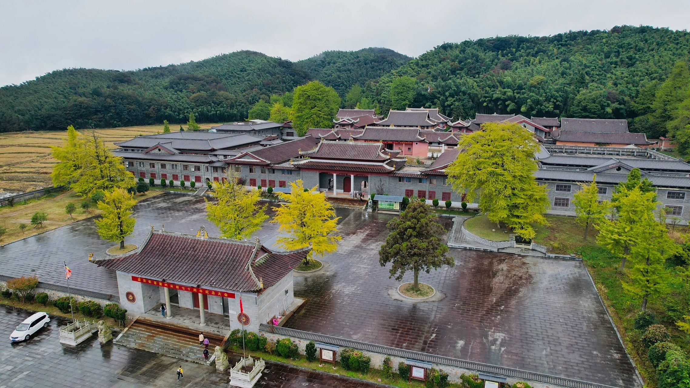 九江|千年古刹云居山真如寺的银杏黄了 云居山的真如寺是一座有着千年