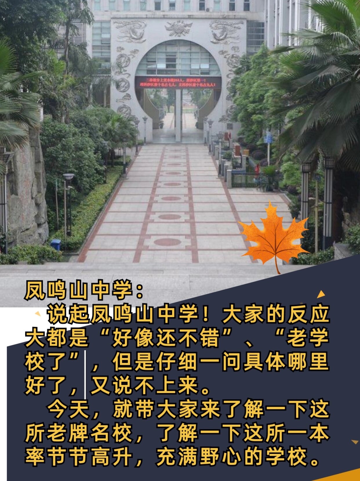 重庆凤鸣山中学宏志班图片