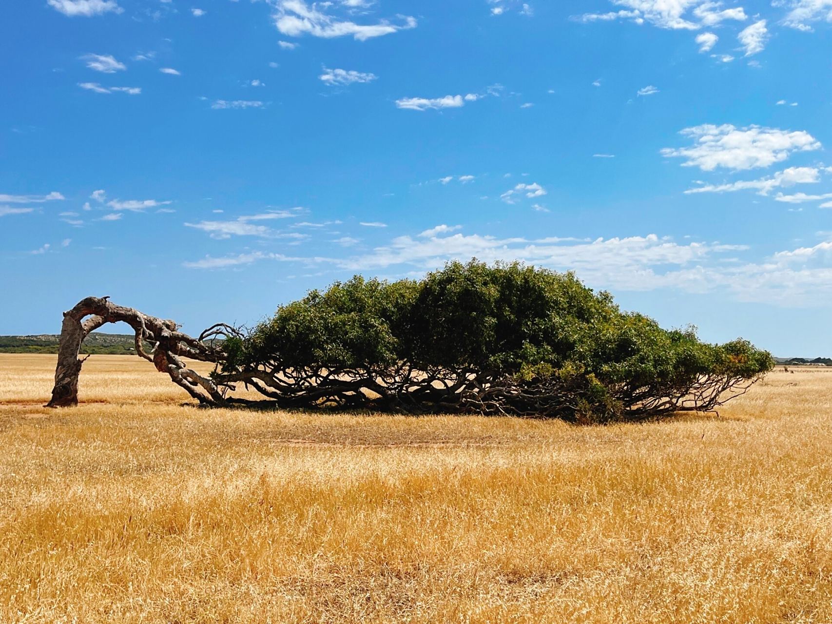 澳洲珀斯旅行记录～景点篇 期中假期去的 珀斯风景确实美 但景点都在