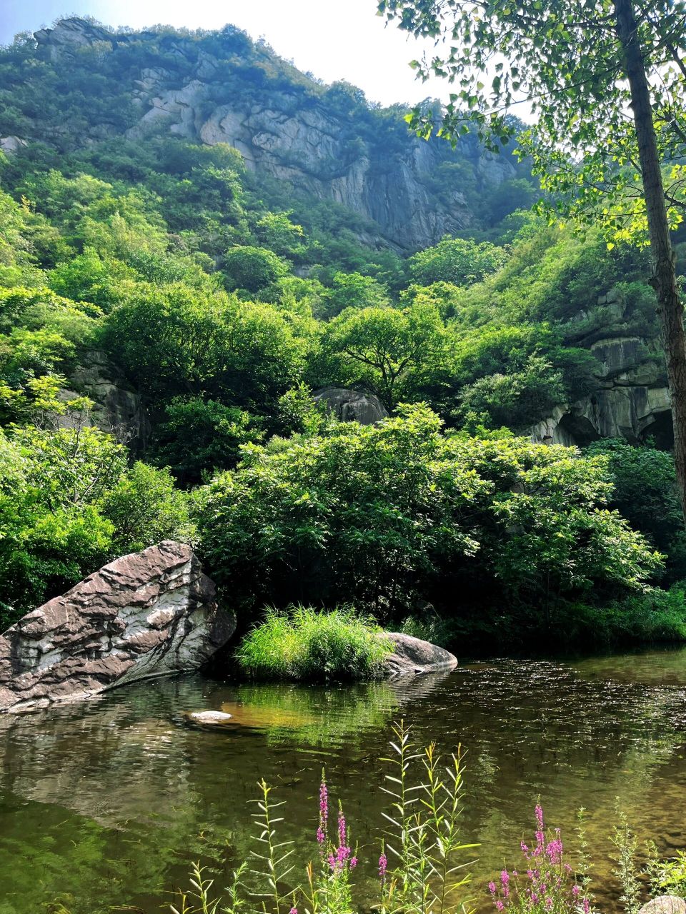 神堂峪自然风景区 游玩攻略 07市区驾车:1-2小时可达 97入园时间