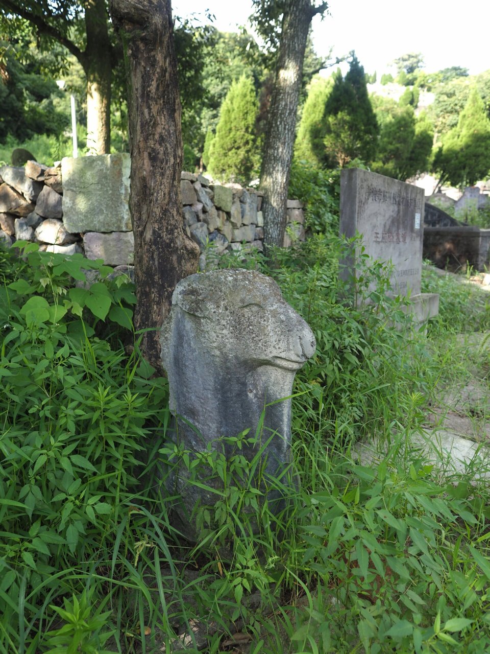 南宋石雕遗珍|王应麟墓道石刻 位于五乡镇宝同村同谷山南麓,如今也