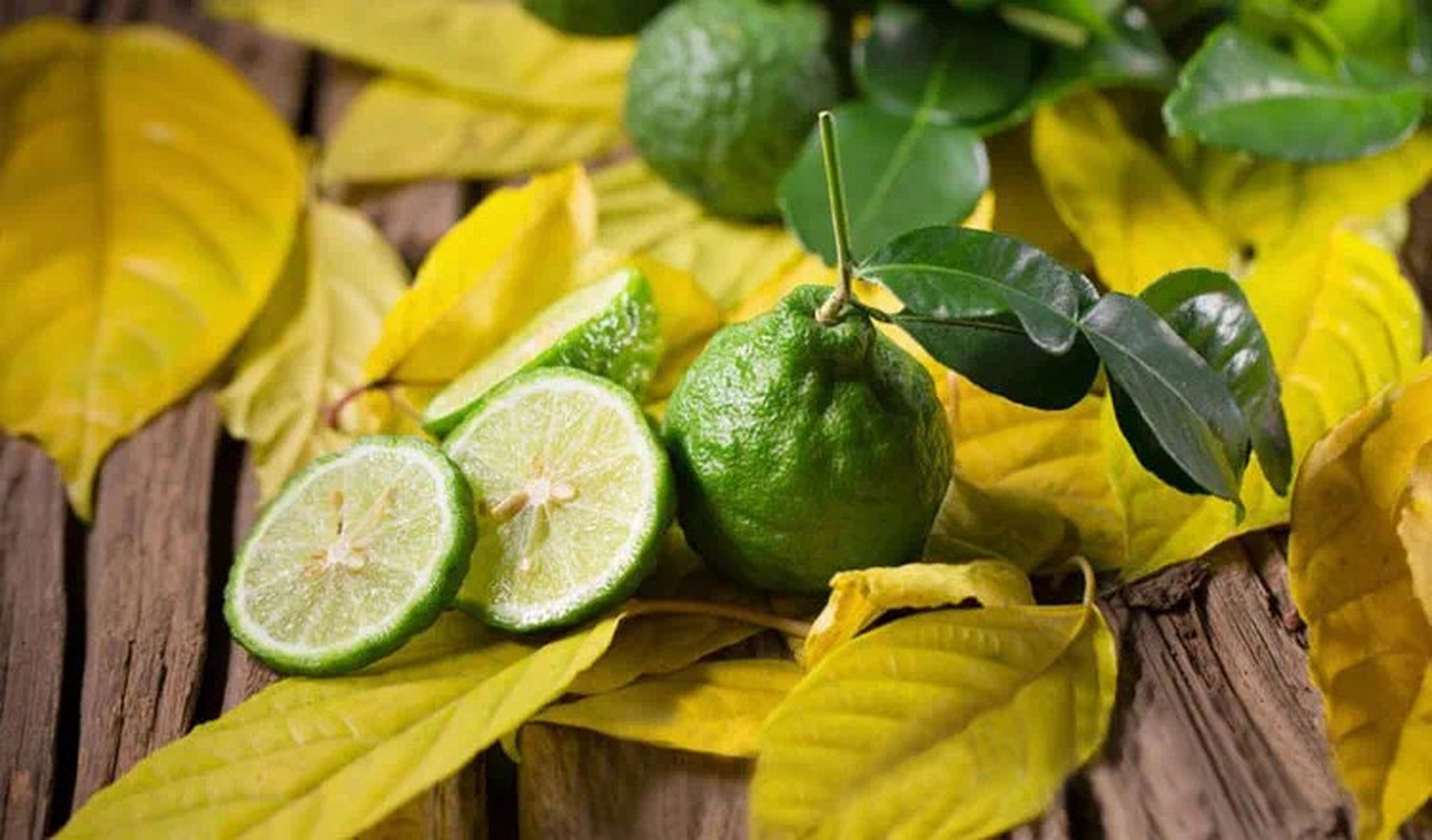 perris monte carlo 卡拉布里亚香柠檬 ★★★★ luca maffei果然是我