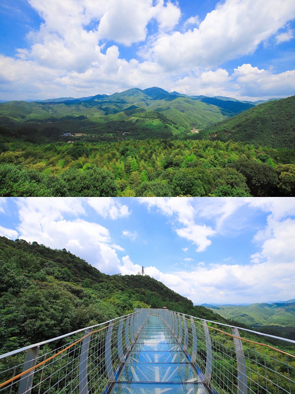 地:大余丫山风景区 967715亲近自然,走进赣州大余县丫山风景区