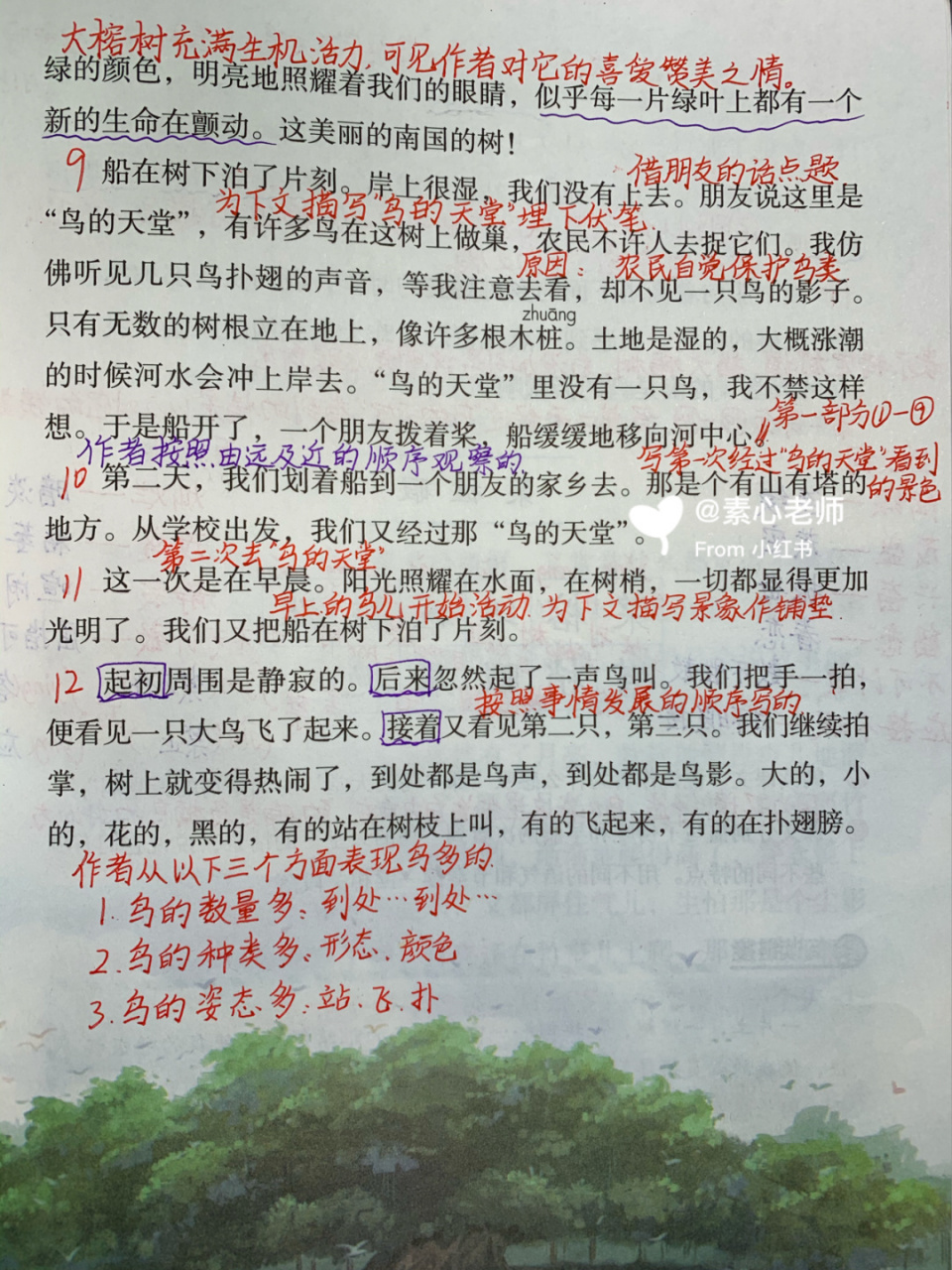 五年级第23课《鸟的天堂》笔记分享 每天直播语文和数学 讲解四五年级