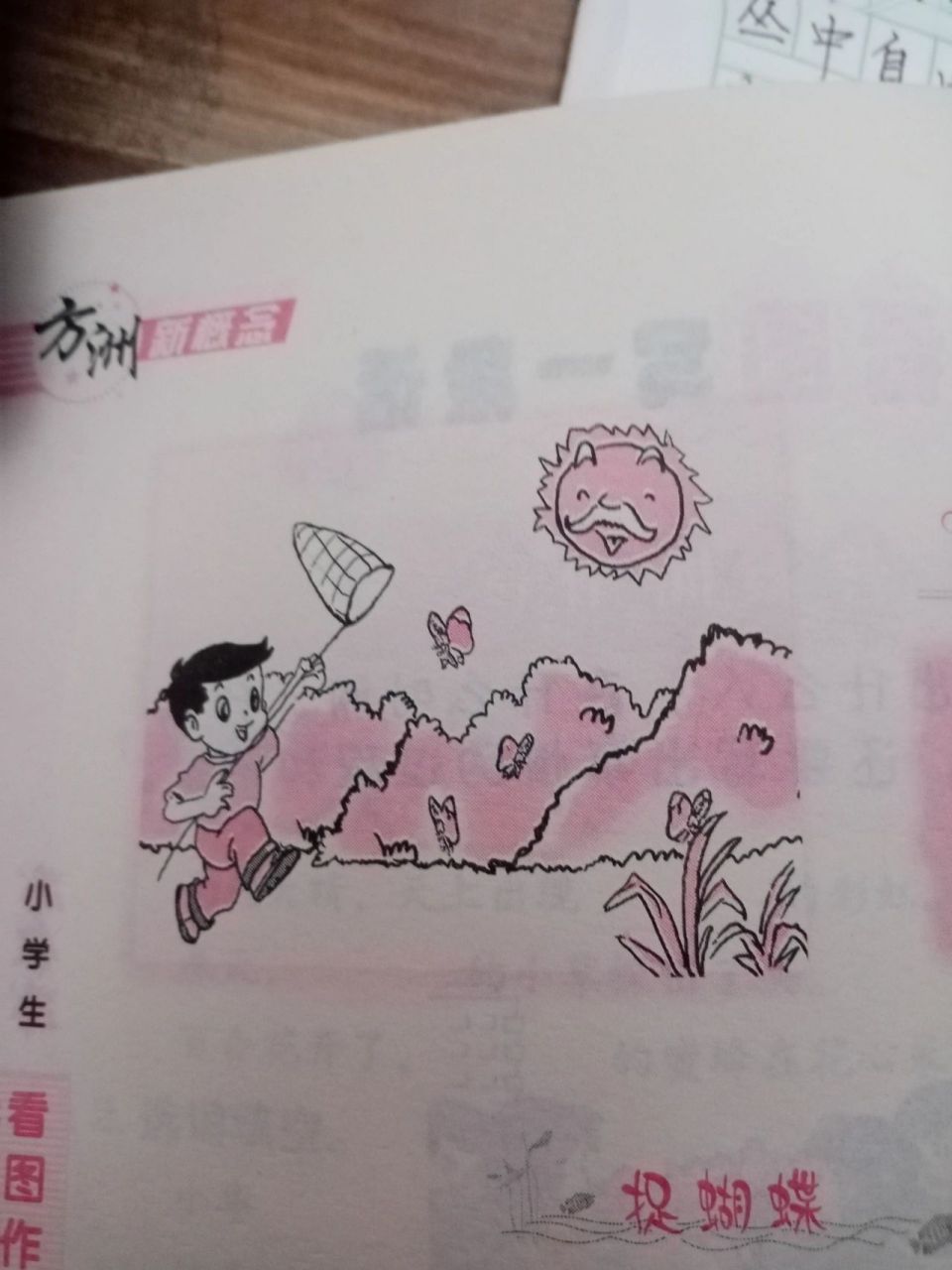 小学生看图写话,捉蝴蝶! 小学生看图写话,捉蝴蝶!