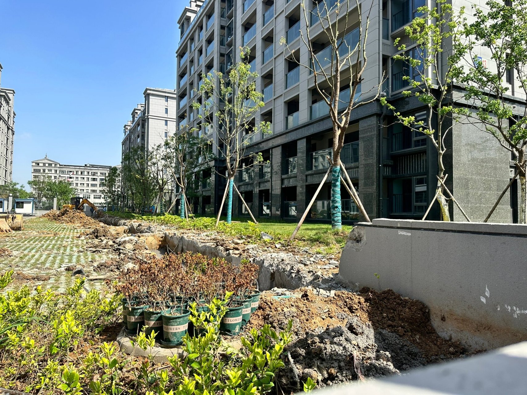 宁波装修设计 崇文花园交付在即97 镇海庄市 崇文花园绿化都做好了?