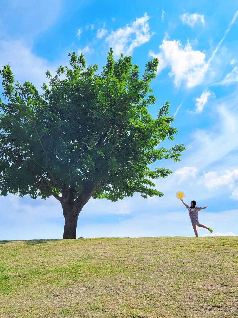 动漫本漫95夏日0元拍照 来拍照啦[庆祝][庆祝][庆祝] 这棵树虽然站