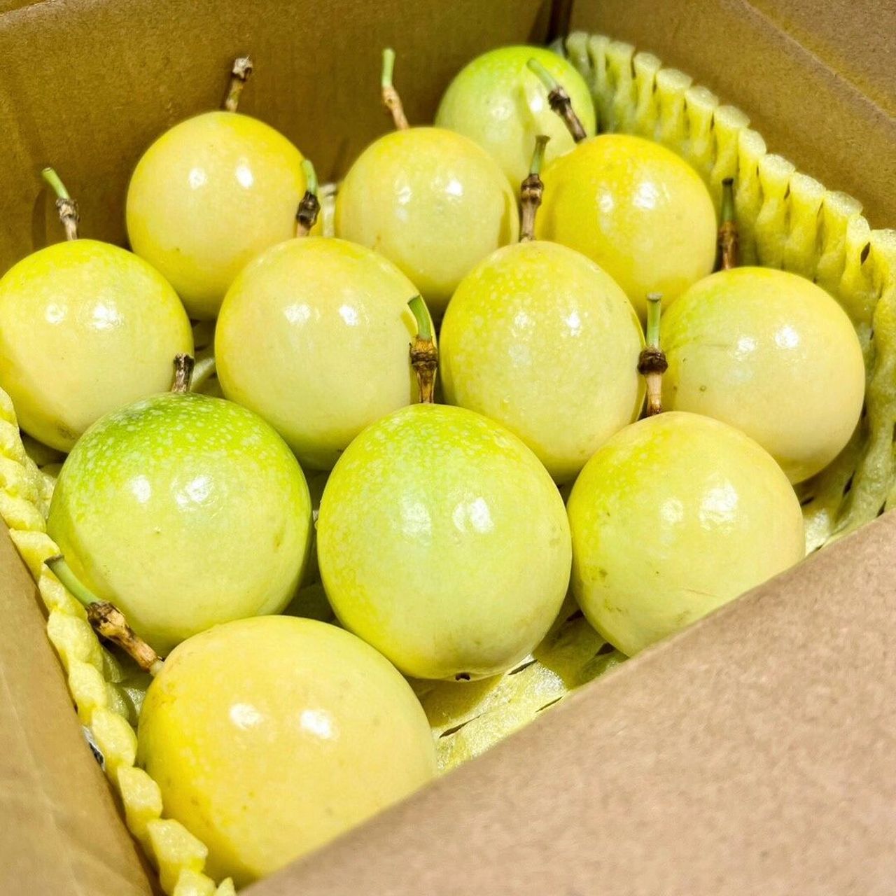 990 活动啦,钦蜜九号黄金百香果 收到直接吃,无需泡水,直接切开用