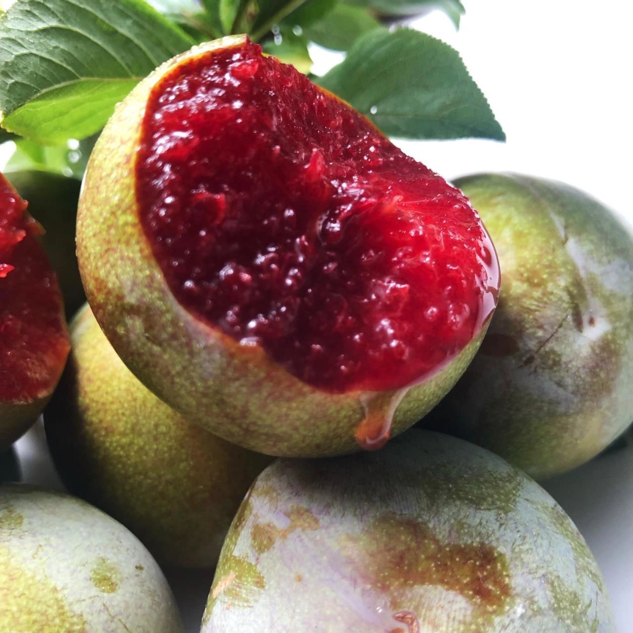 珍稀品种味帝李 珍稀品种味帝李 李子中的帝王级,尝鲜60 9甜1酸,怕