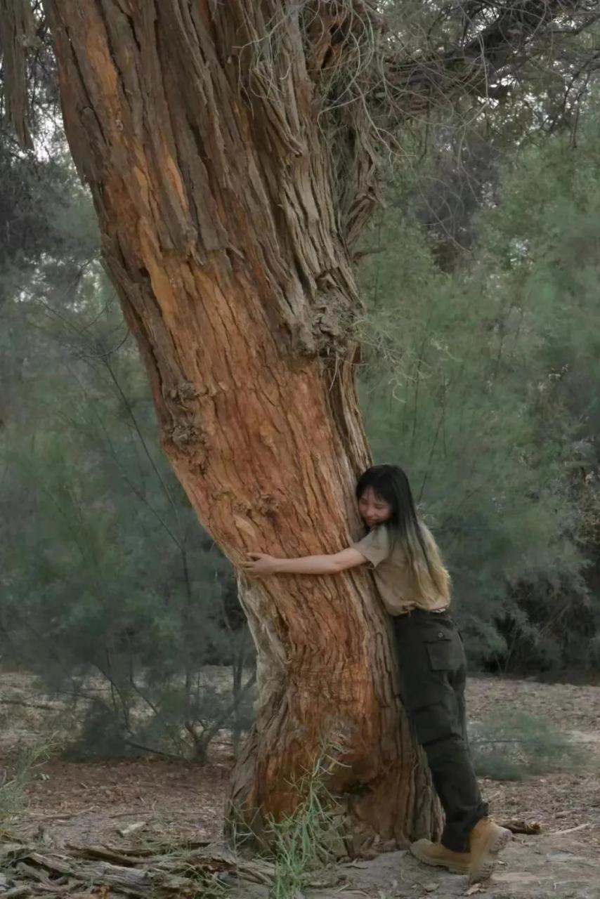 年轻女孩不抱男友开始抱树了!