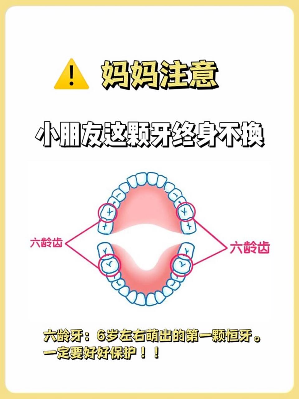 7215 这颗牙齿是终身不换的,——"六龄牙",在6岁左右萌出的首颗