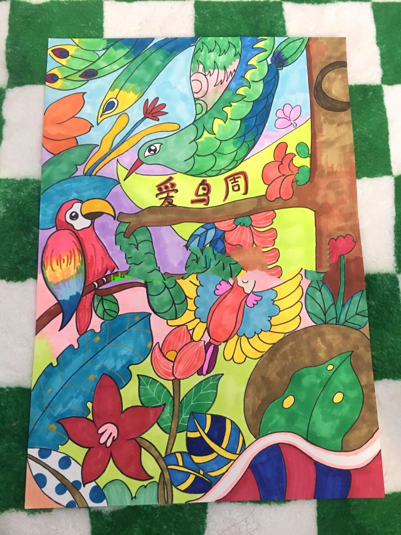 爱鸟周儿童画,爱鸟日主题画,小鸟画