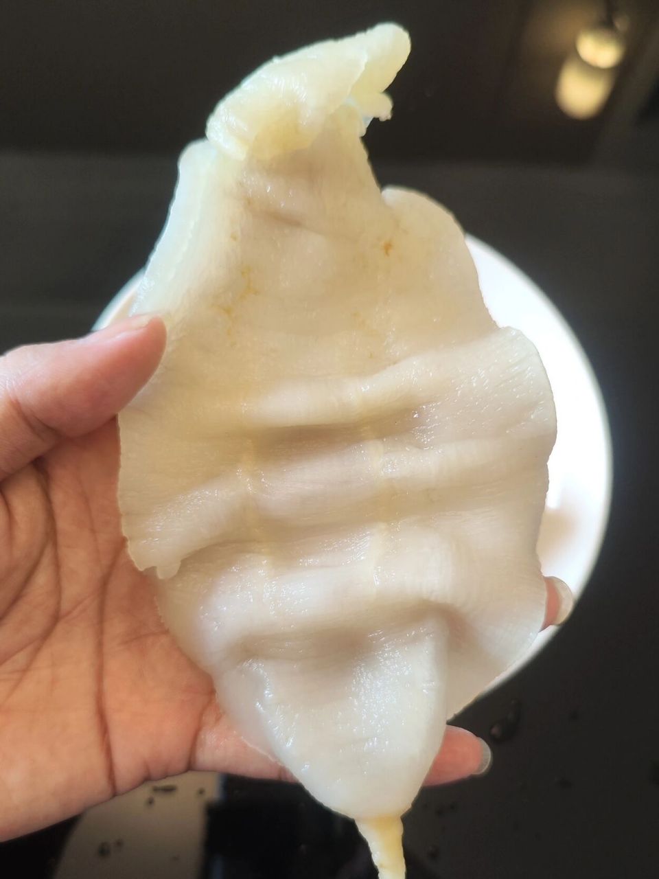 本港赤青鲈鱼胶和赤嘴鱼胶泡发对比图片,青鲈虽然胶州薄,但泡发率大