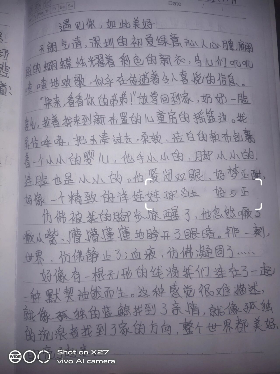 低分的作文600字左右图片