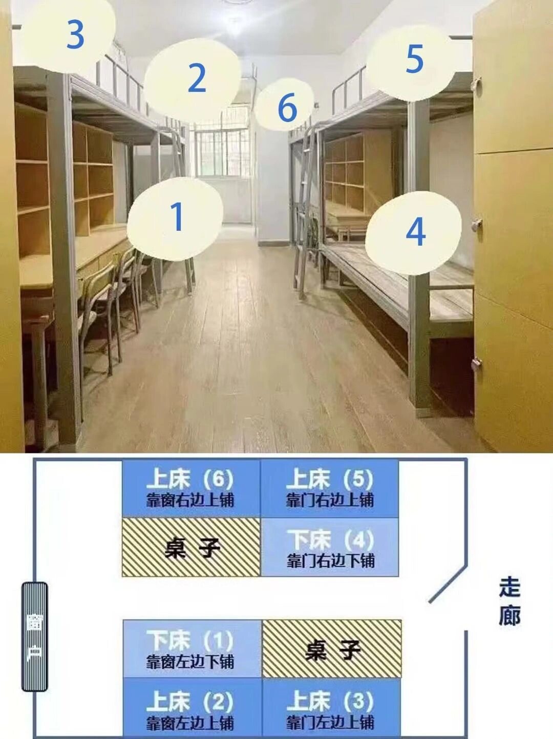 湖南林业科技大学宿舍图片