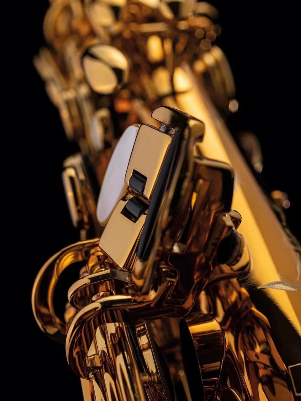 萨克斯selmer supreme 最新款 selmer supreme #萨克斯