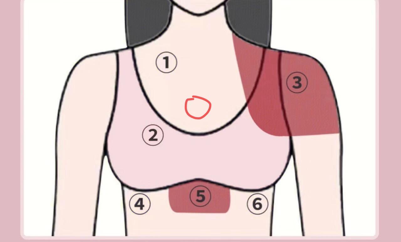 胸前在哪个位置图片图片