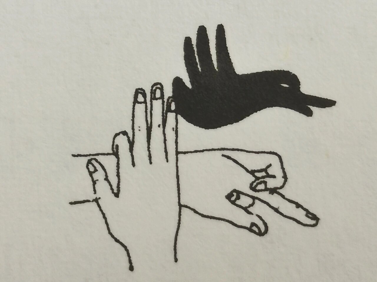 手影表现动物造型