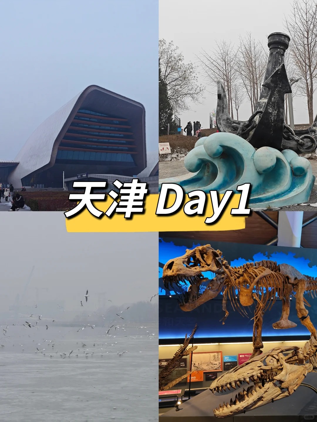 天津塘沽有什么好玩的地方