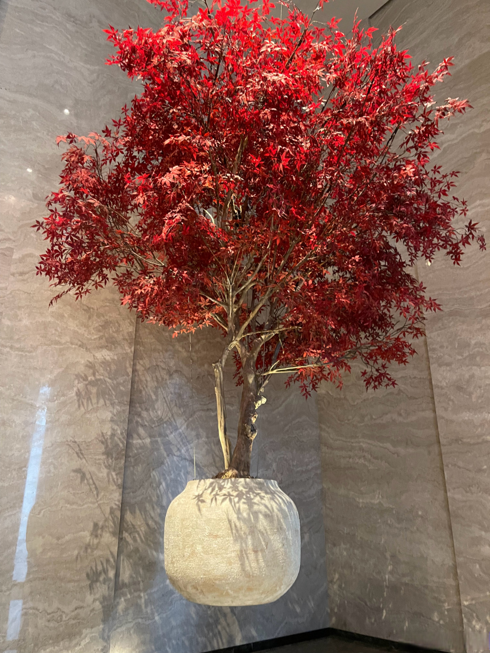 所以对农村出身的孩子而言,你稀缺的真的不是科学基