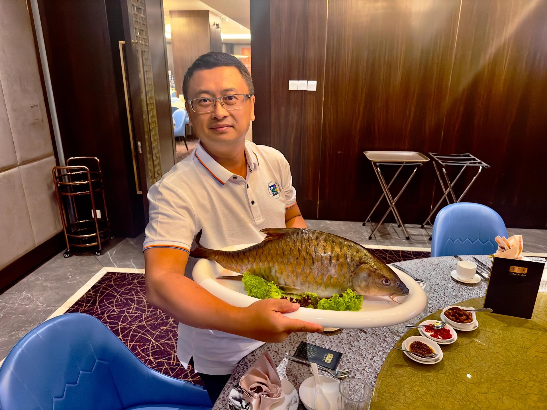 马来西亚野生忘不了鱼