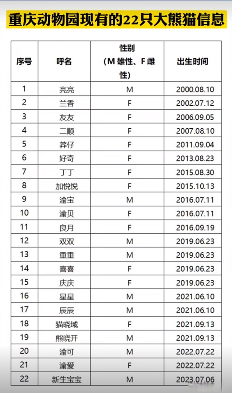 重庆动物园现有大熊猫多达22只,不仅是全国大熊猫数量最多的动物园