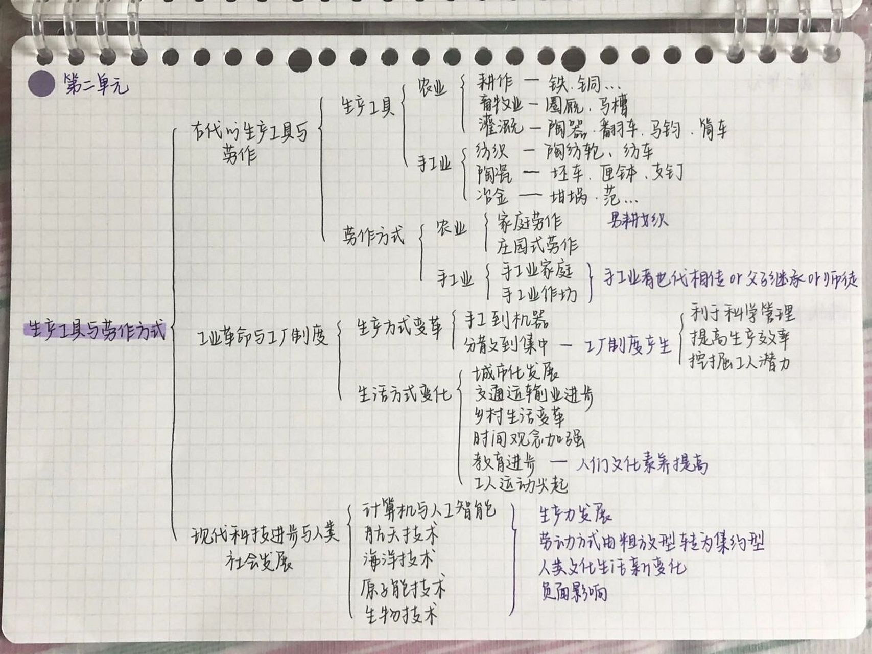 高中历史选择性必修二第二单元思维导图78 上课了来晚了,对不起啊