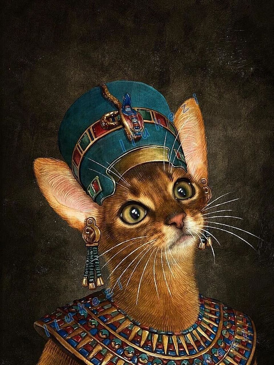 埃及猫真人版图片