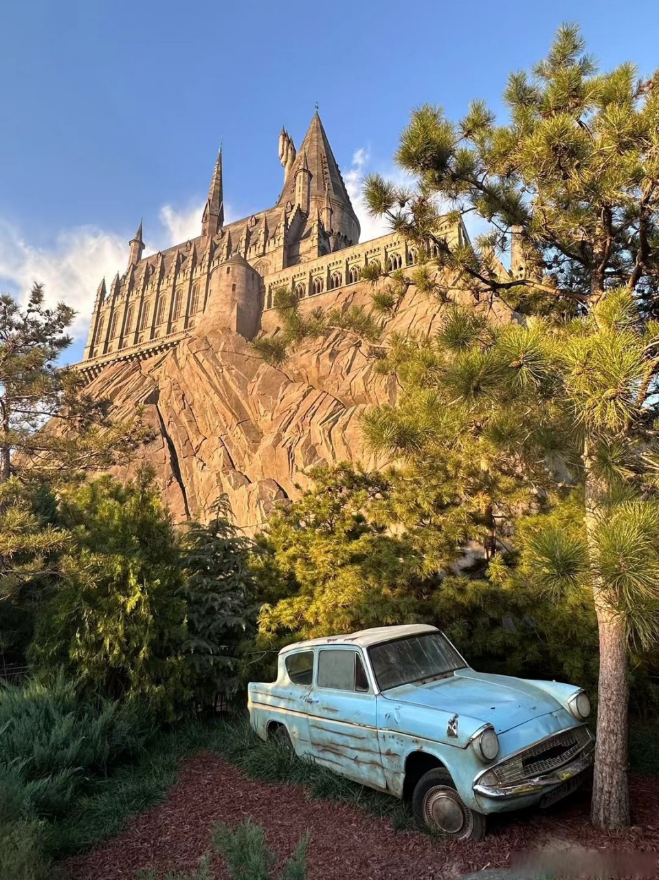 保安小崔91 (拍照就一个姿势)