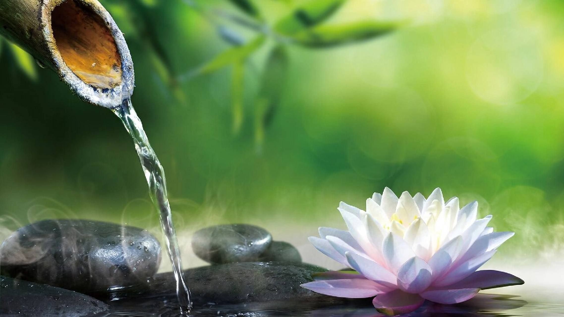 高清莲花壁纸|背景图|好运莲莲|朋友圈美学 98看到莲花 95想起