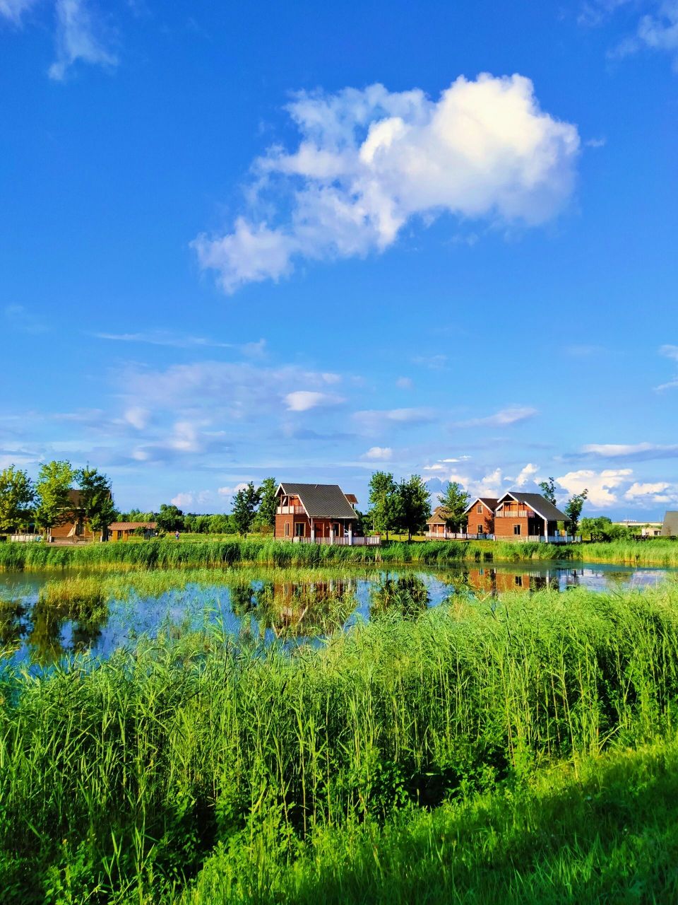 长岭湖:哈尔滨消夏好去处 哈尔滨夏天最美的自然风光莫过于长岭湖风景