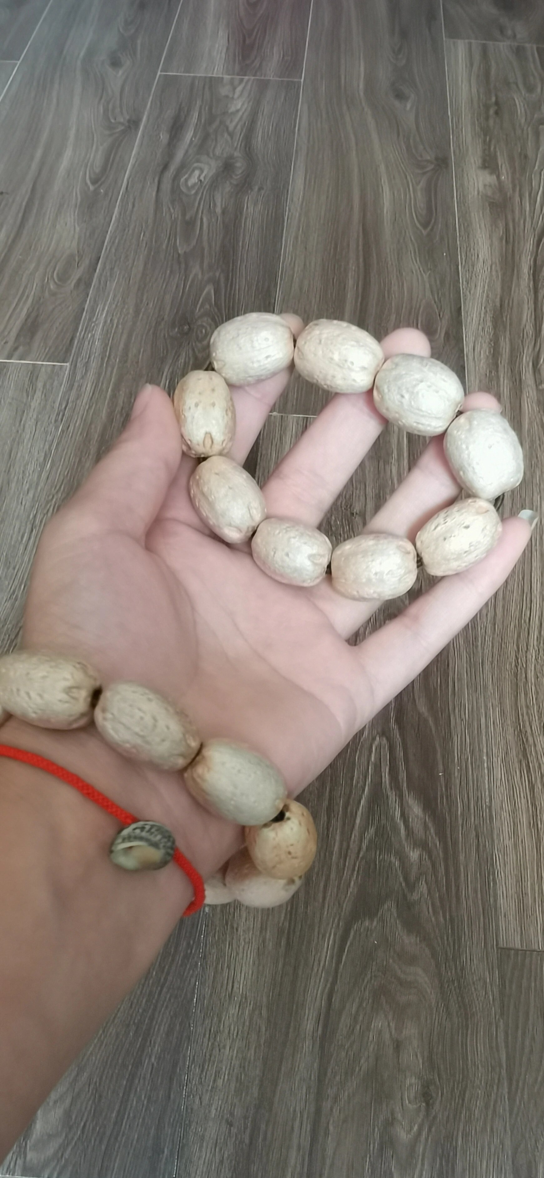 五眼六通菩提,又叫酸枣核 五眼六通菩提,又叫酸枣核,我也实现了菩提