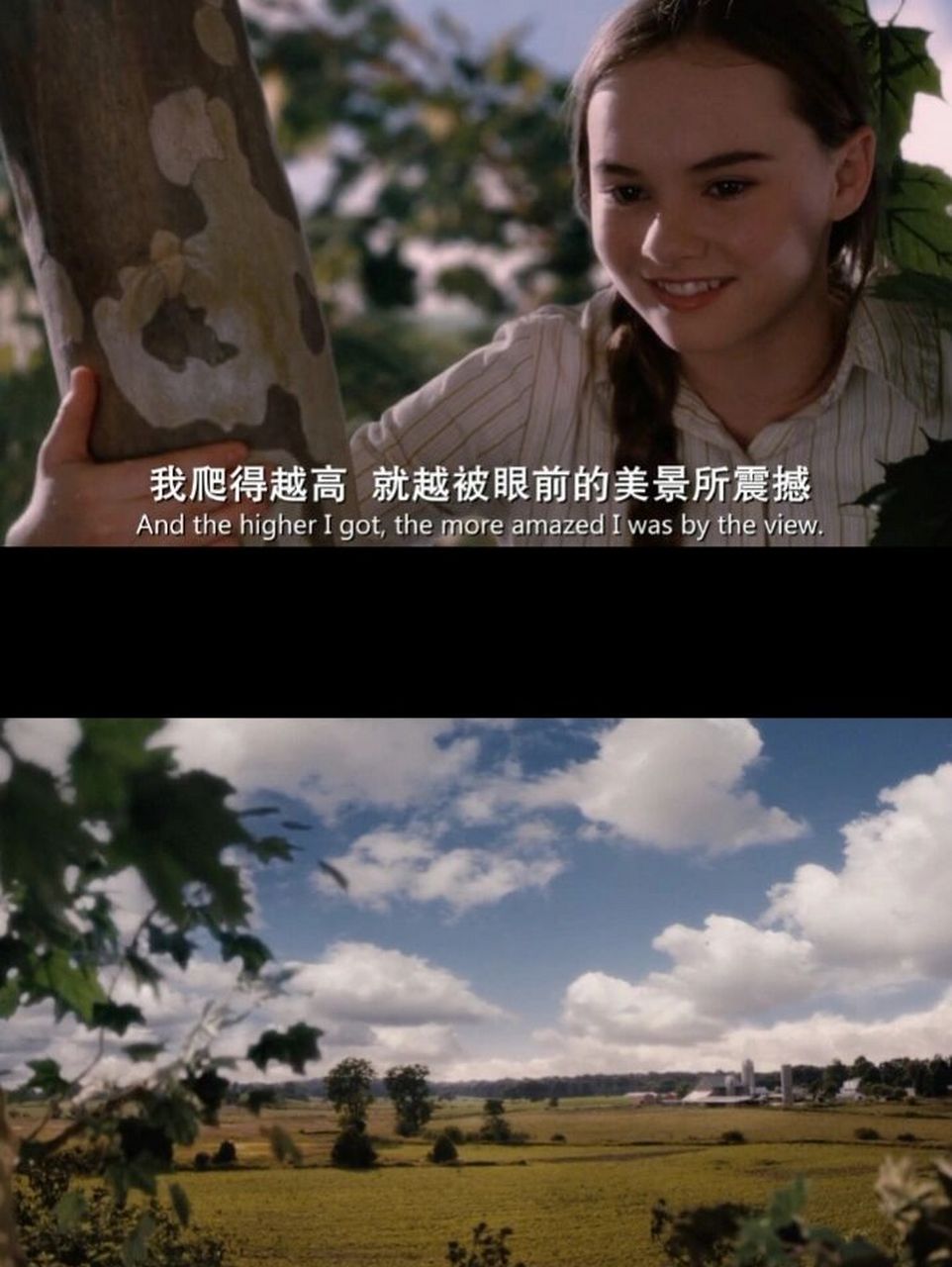 《怦然心动》壁纸及台词93 《怦然心动》绝美电影!