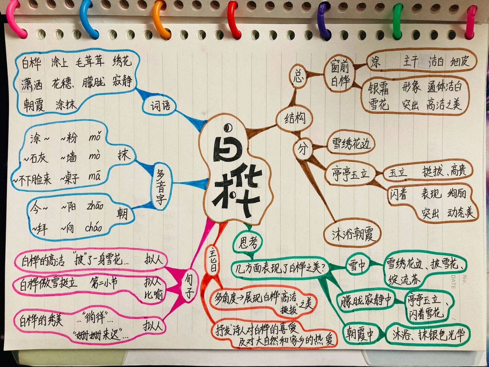 四下语文 第十一课 白桦 思维导图
