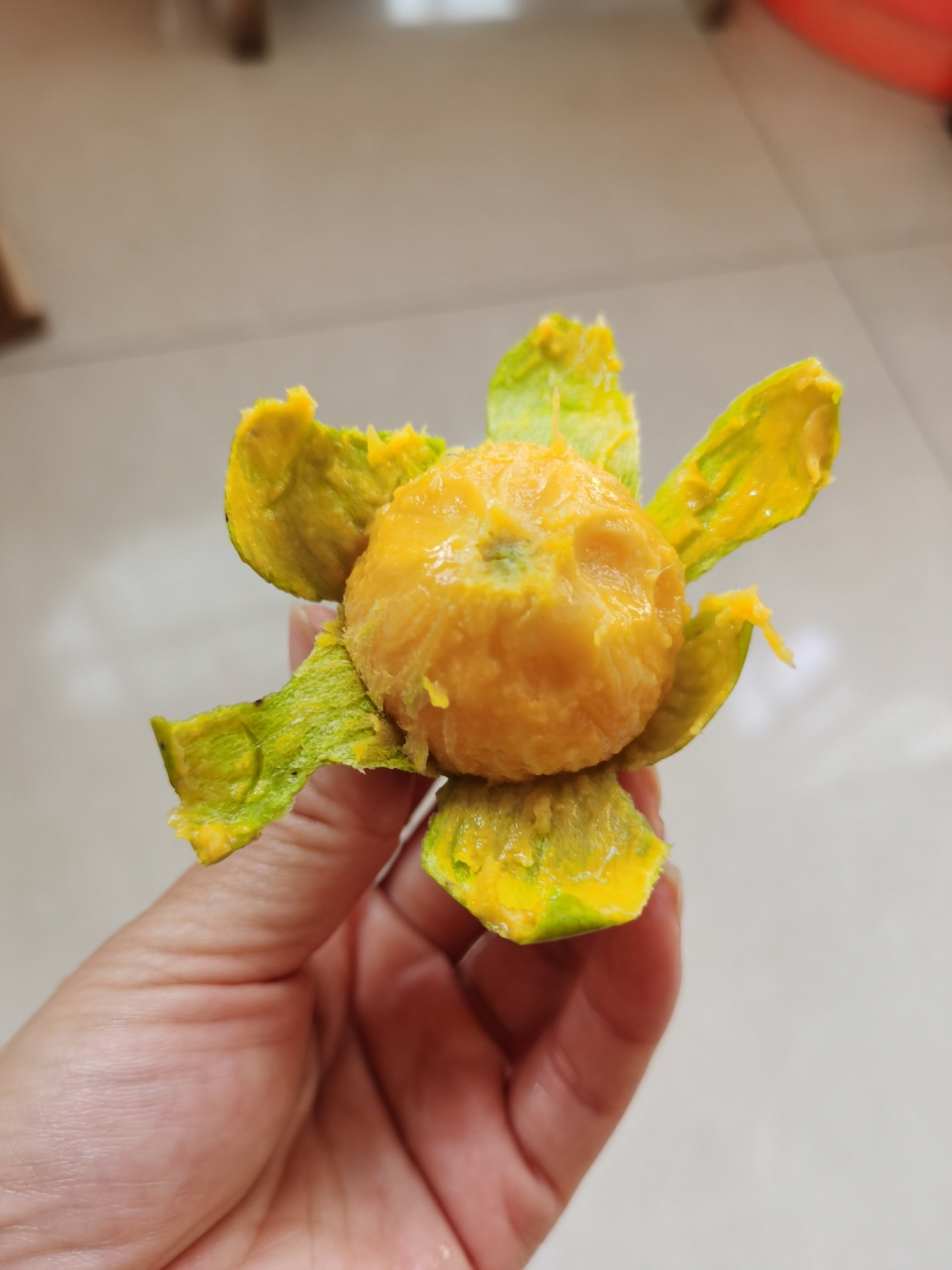 还有一种水果,和芒果是近亲,叫做"扁桃"97,扁桃树和芒果树很相似,但