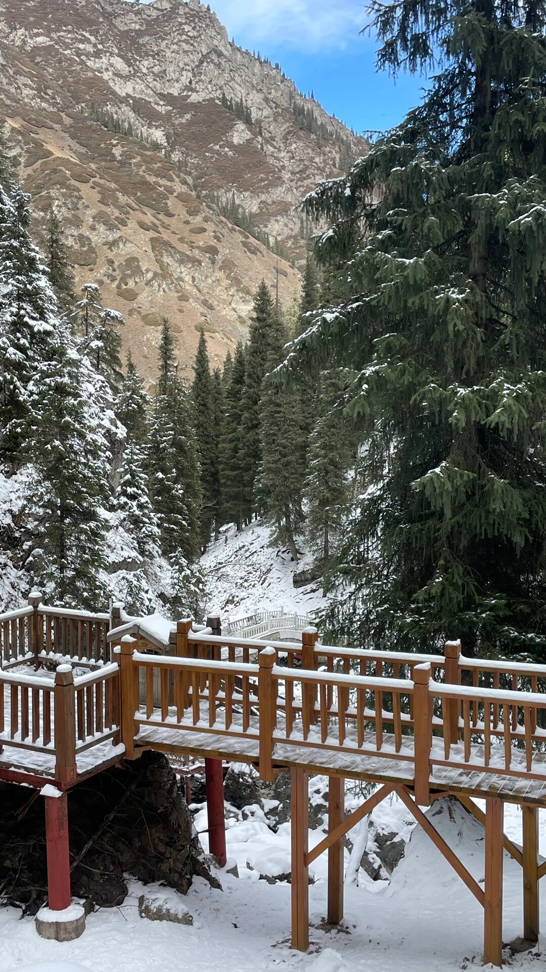 南山下雪了76157215 先行入冬啦