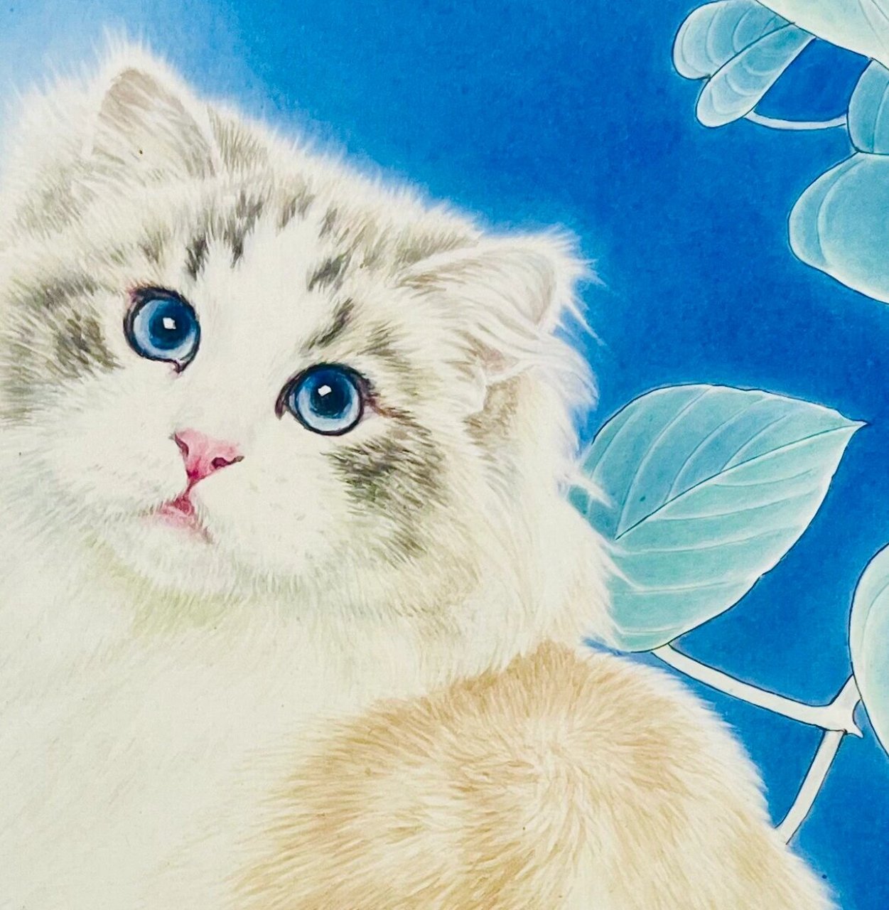 国画猫 工笔画猫 画喵 布偶猫 采用立体丝毛工笔技法