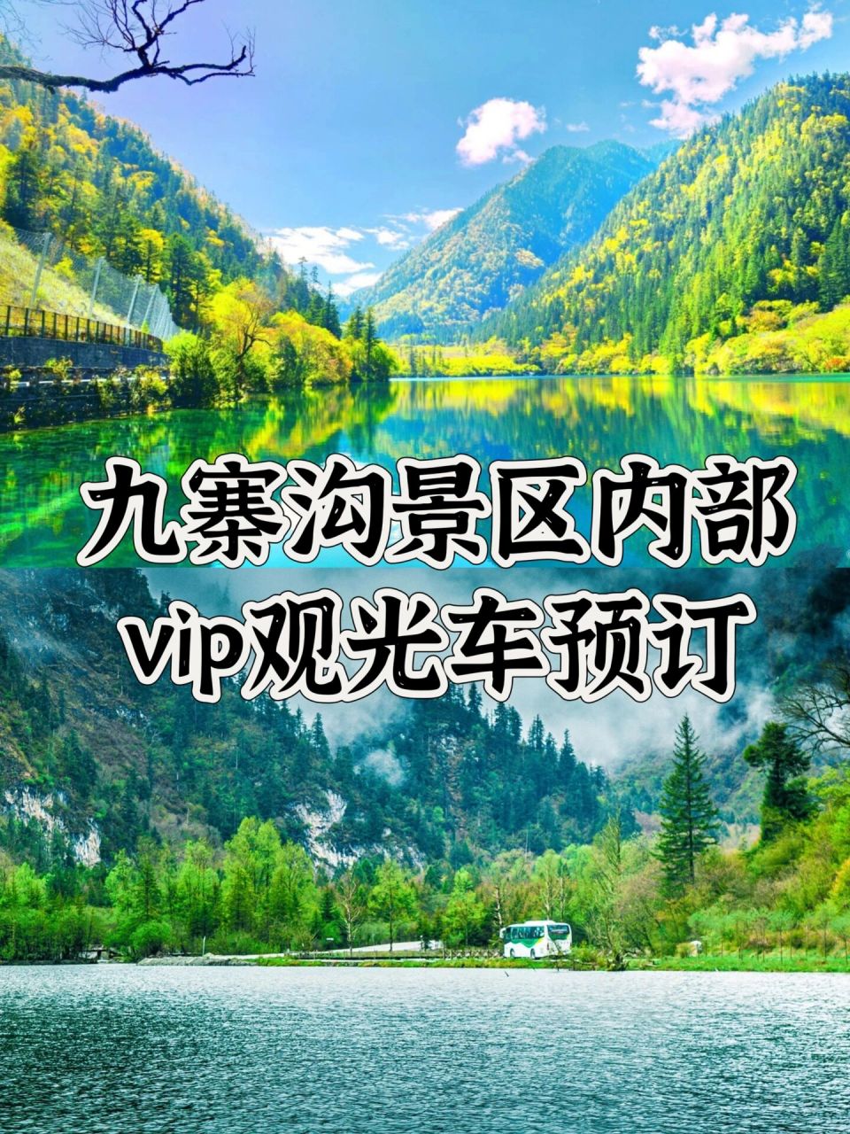 九寨沟景区内部观光车vip拼车畅游九寨沟  九寨沟景区vip 观光车票
