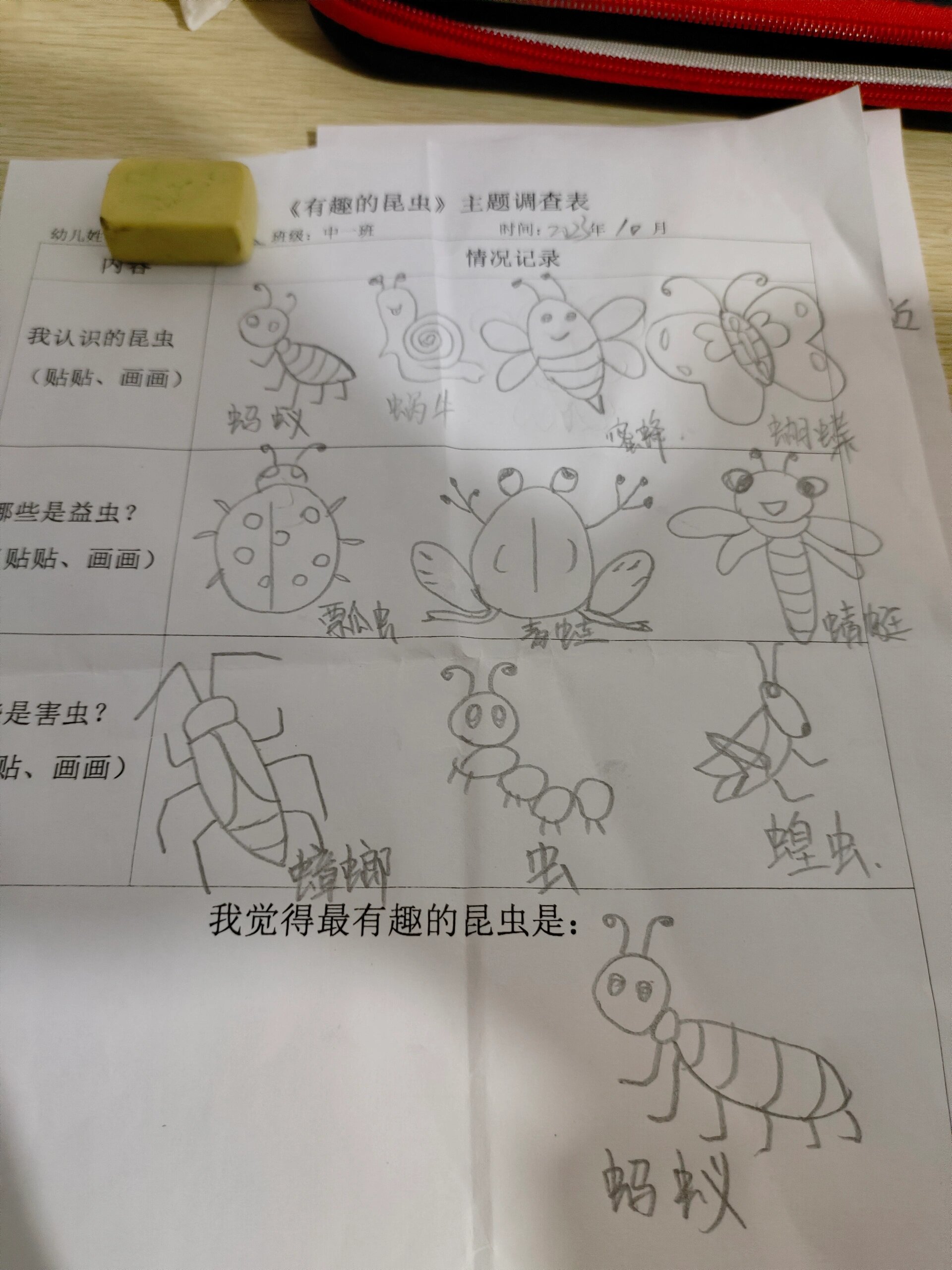 《有趣的昆虫》主题调查表