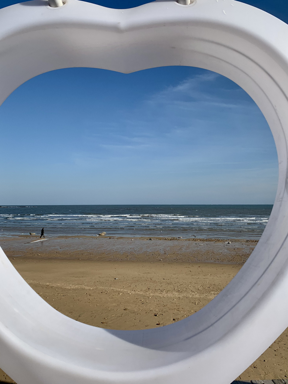 日照海洋美学馆 前几天去了 海边有海鸥 然后书店里边拍照也很出片 都