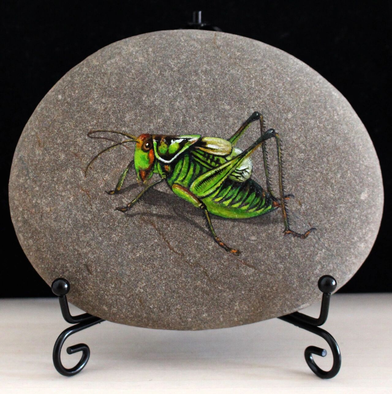 昆虫类石头画作品天牛蝈蝈螳螂瓢虫蝉 晒几幅画的昆虫类的石头画作品