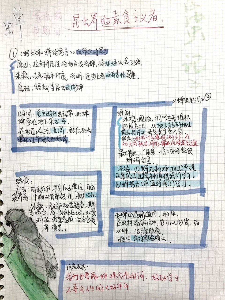 《昆虫记》思维导图(蝉) 希望可以给大家带来帮助!92