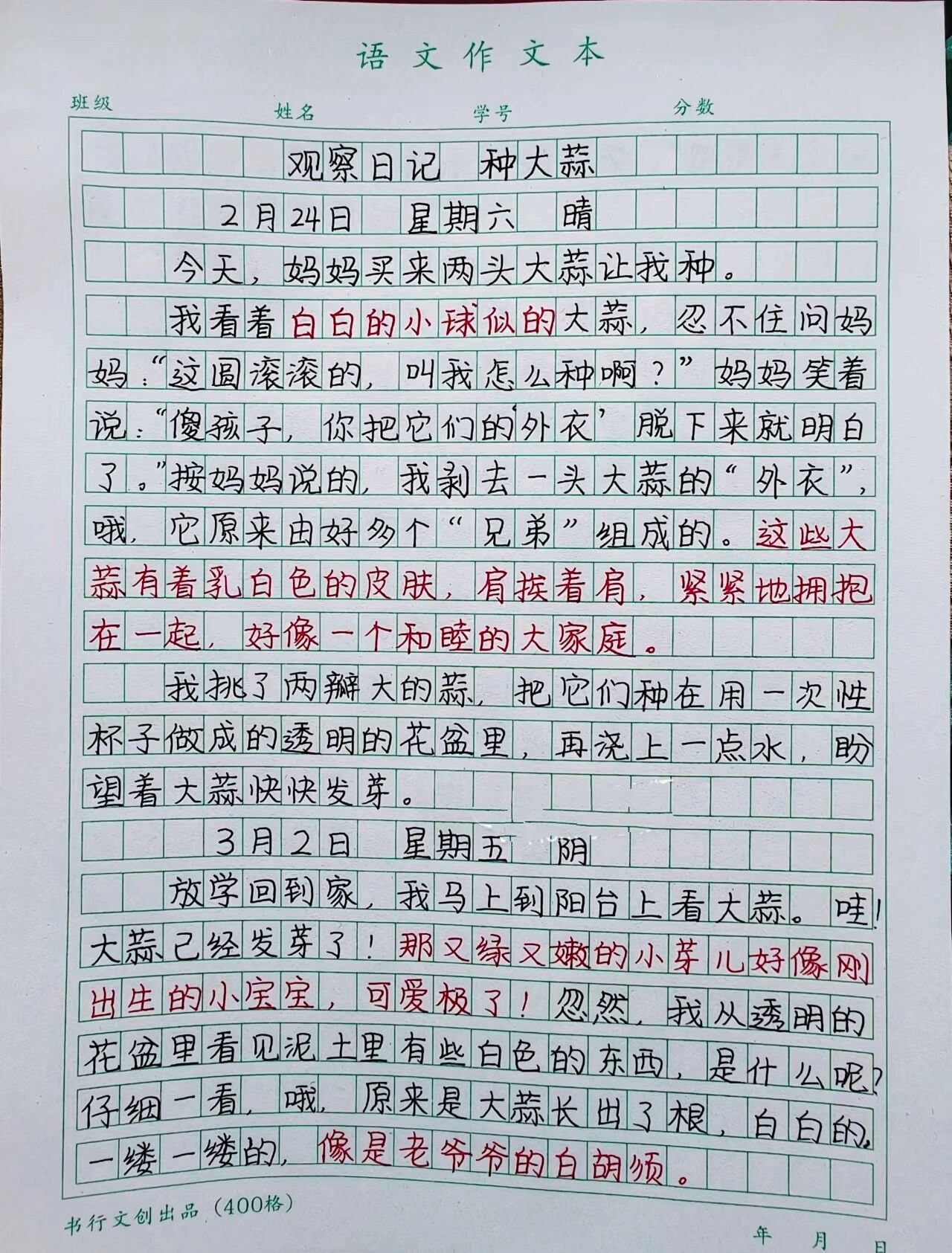 四年级日记200字观察图片