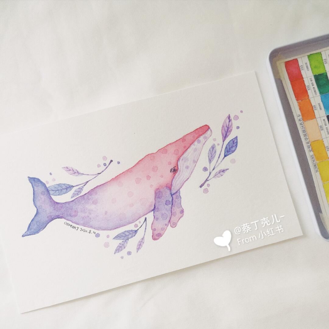 教你10分钟画粉鲸🐳/0基础水彩画教程