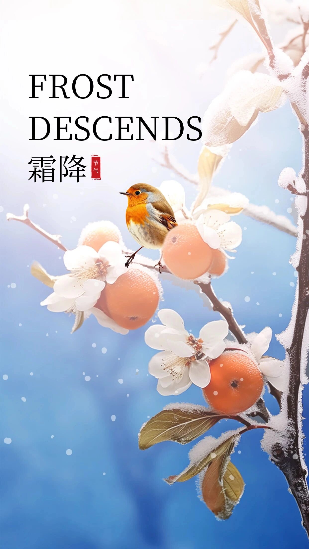 霜降节气海报🍅好柿成霜|背景模板设计 下午好,尊敬的小们🍠.