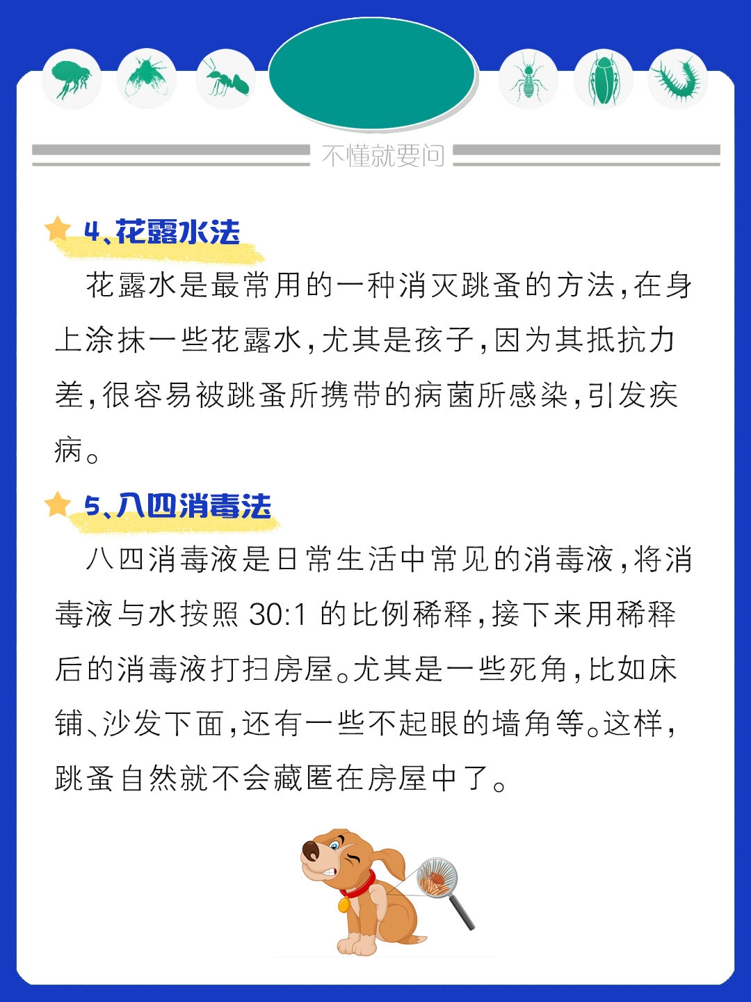 6个方法教你彻底灭掉跳蚤 90消灭跳蚤可以通过注意个人卫生,药物