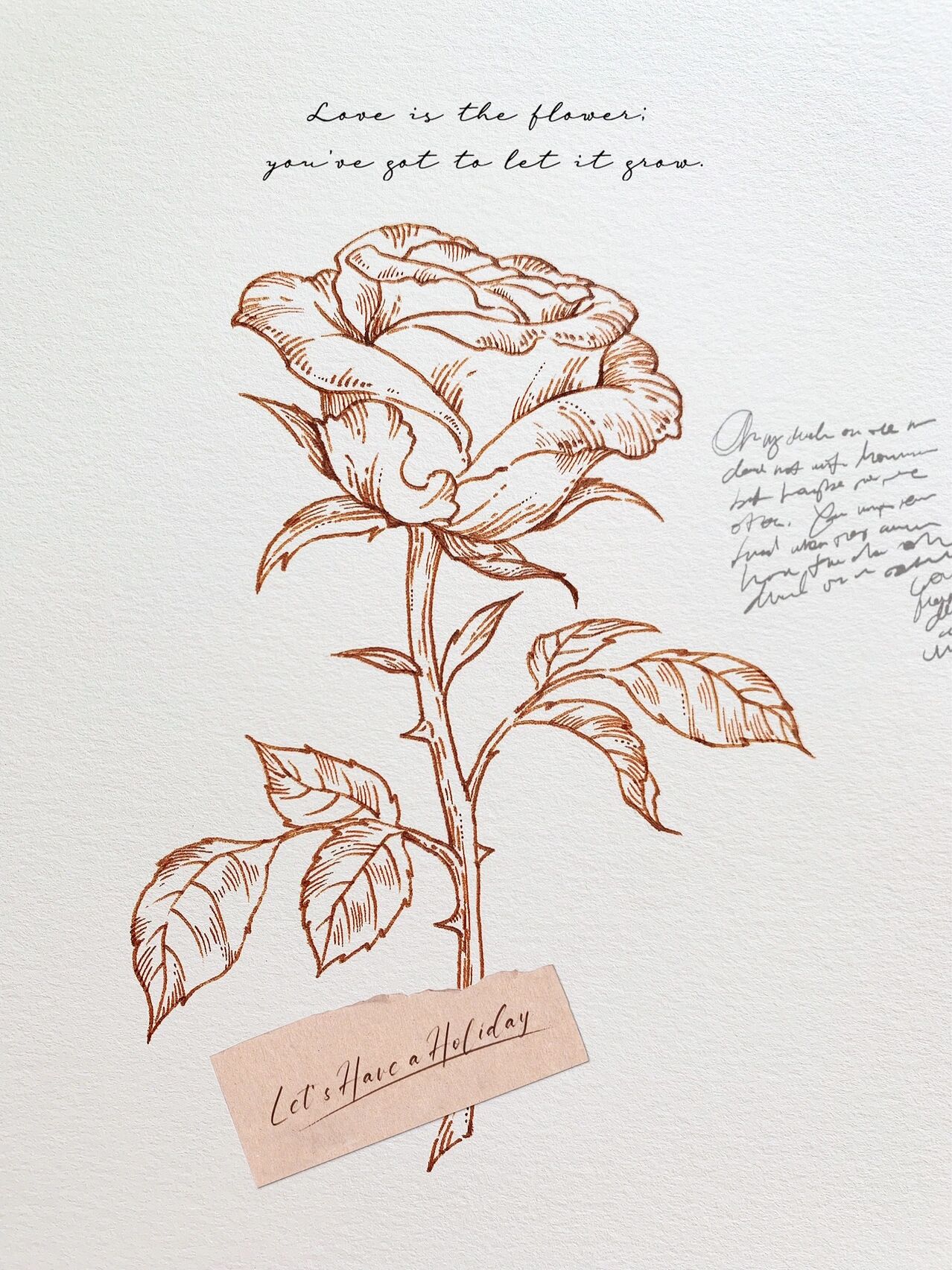 94玫瑰手绘|花卉线稿|手绘day7