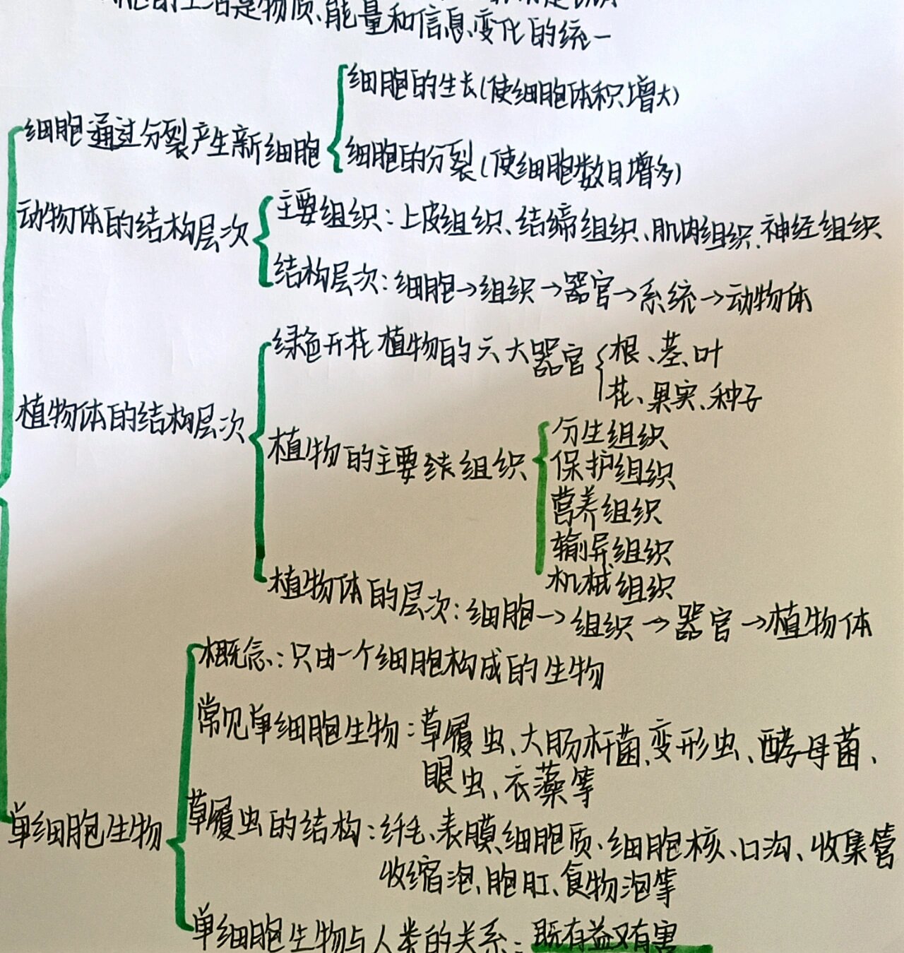 初中第二单元生物思维导图