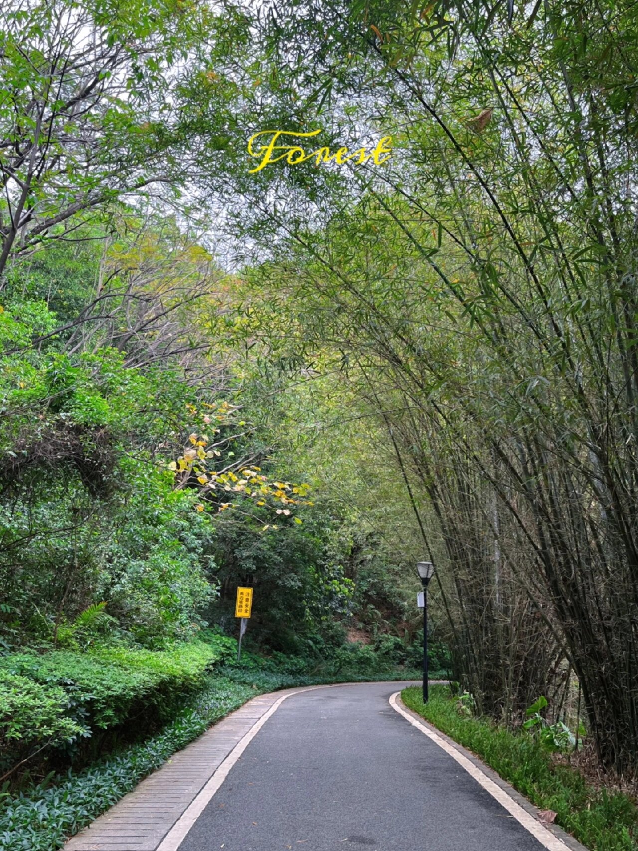 广州科学城 一次逛6个以上的公园