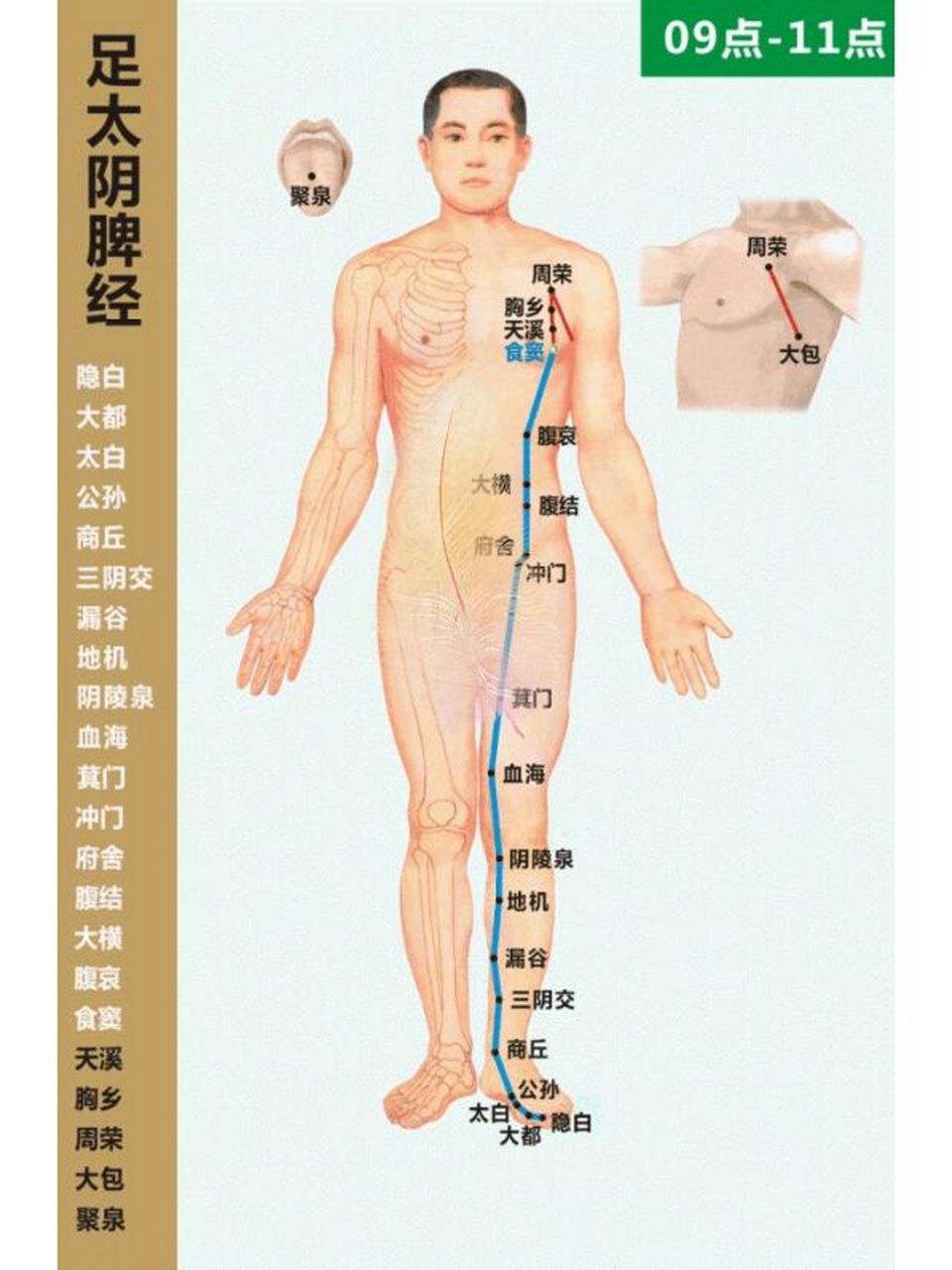 人体十二经络的主要功能,干货合集值得收藏 卯时 5点至7点)大肠经旺